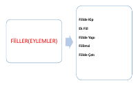fiiller-eylemler-turk.pdf